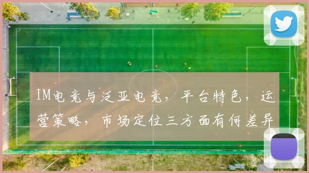 IM电竞与泛亚电竞，平台特色，运营策略，市场定位三方面有何差异