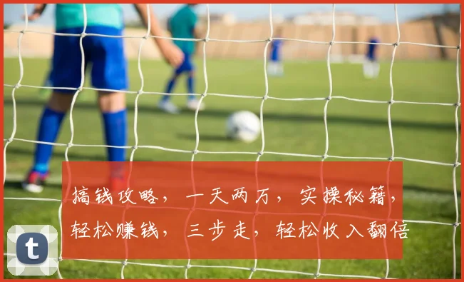 搞钱攻略，一天两万，实操秘籍，轻松赚钱，三步走，轻松收入翻倍，快来学
