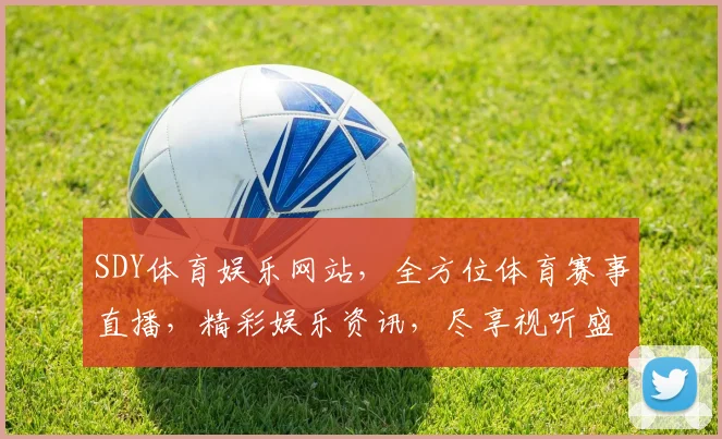SDY体育娱乐网站，全方位体育赛事直播，精彩娱乐资讯，尽享视听盛宴，专业互动体验，一网打尽