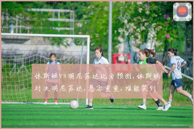 休斯顿vs明尼苏达比分预测,休斯顿对决明尼苏达,悬念重重,谁能笑到最后