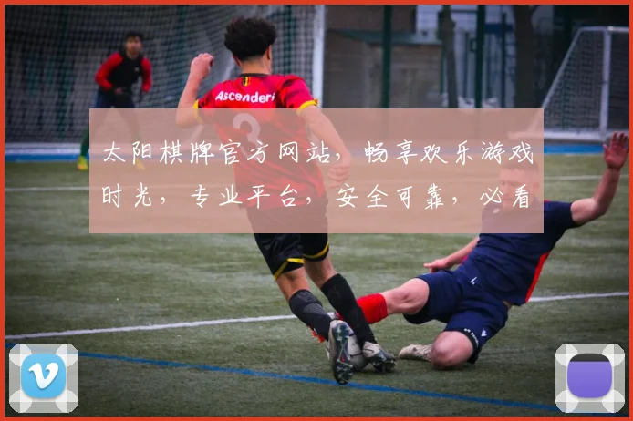 太阳棋牌官方网站，畅享欢乐游戏时光，专业平台，安全可靠，必看攻略