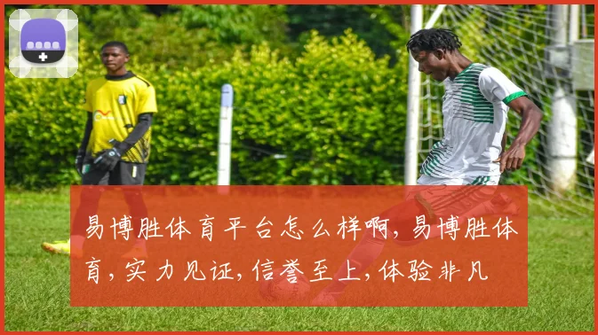易博胜体育平台怎么样啊,易博胜体育,实力见证,信誉至上,体验非凡