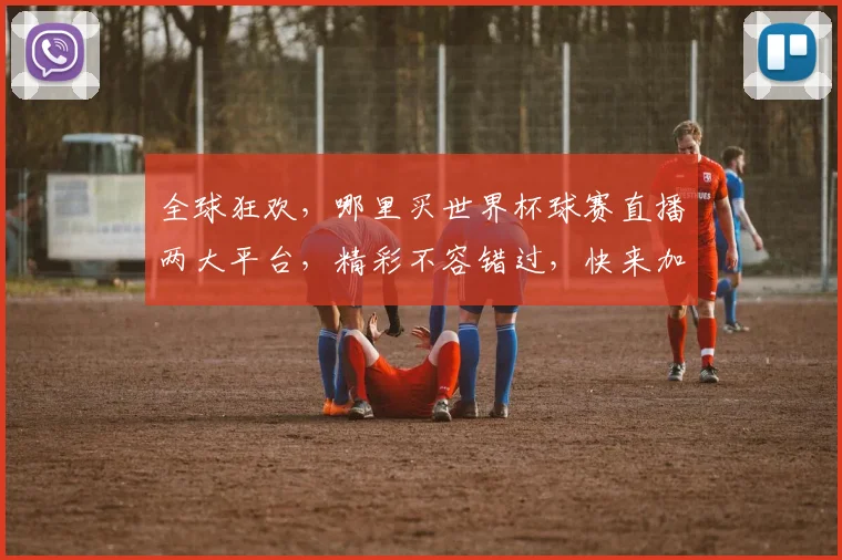 全球狂欢，哪里买世界杯球赛直播两大平台，精彩不容错过，快来加入